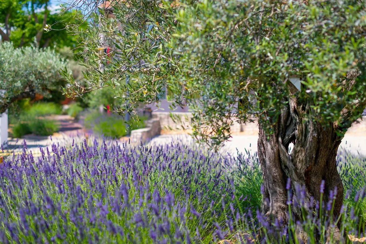 Terre De Provence Hotel & Spa Le Pontet
