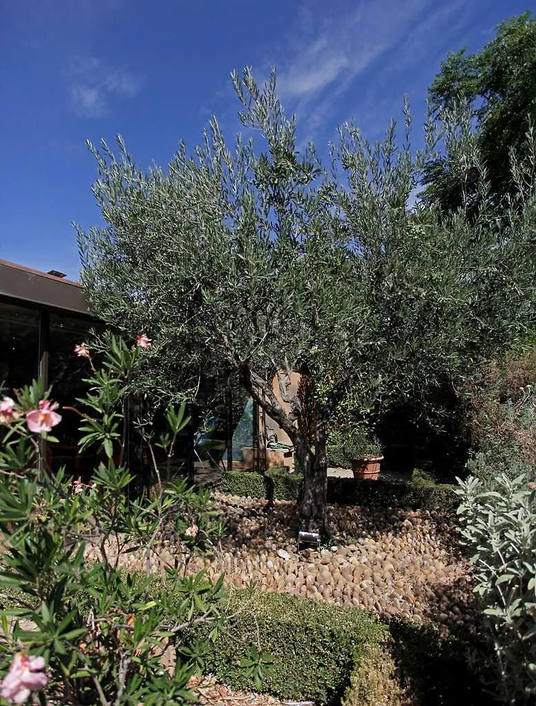 Terre De Provence Hotel & Spa Le Pontet  Francia