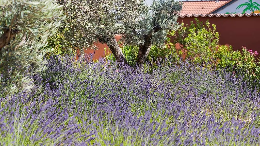 Terre De Provence Hotel & Spa Le Pontet